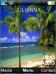 Tropical Beach