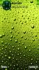 Water Drops