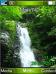 Water Fall