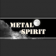 WP Metal Spirit 7