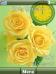 Yellow Flowers Clock
