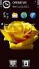 Yellow Rose Theme Includes Free Digital Timer Screensaver