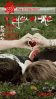 you +me