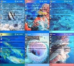 Coral Reef Today Theme Pack (6 Themes)