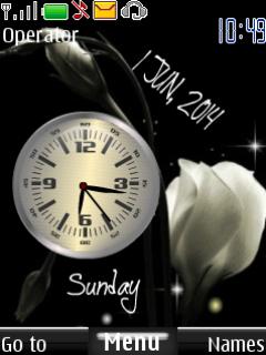 rose dual clock