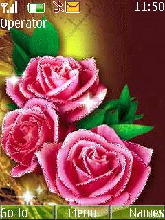 Roses
