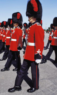 Royal Guards Live Wallpaper