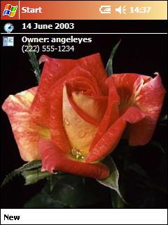 Roses Theme Pack 2 by Angelic Themes