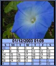 Image Calendar Flowers Edition for Series 60