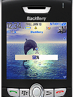 Dolphin Paradise Theme for BlackBerry 8800