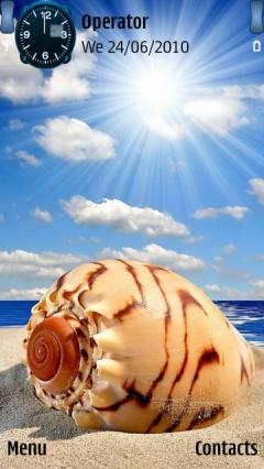 Sea Shell