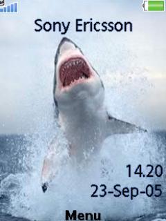 Shark