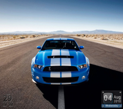 Shelby 1