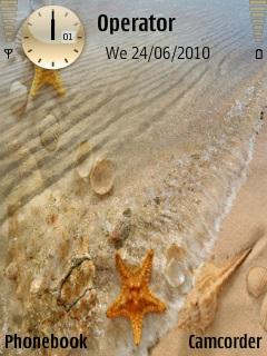 Shell and Beach