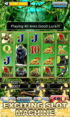 Slot Machine : Wild Gorilla