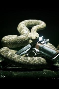 Snake Gun
