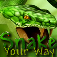 Snake Your Way