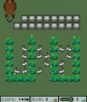 Snake 2005