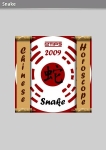 2009 - Chinese Horoscope - SNAKE