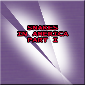 Snakes in Amercia