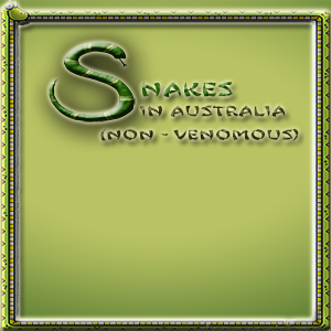Snakes in Australia(Non-Venemous)