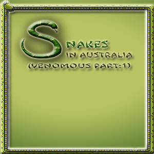 Snakes in Australia(Venomous) Part 1