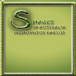 Snakes in Australia(Venomous) Part 2