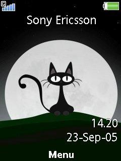 Spooky Cat