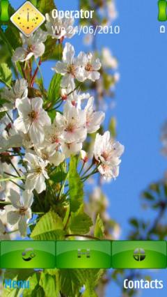 Spring Blossom