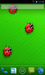 Spring Ladybird Live Wallpapers