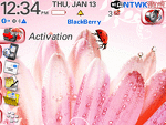 8800 Blackberry Zen Theme: Spring Ladybug