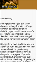 Sumo Güresi