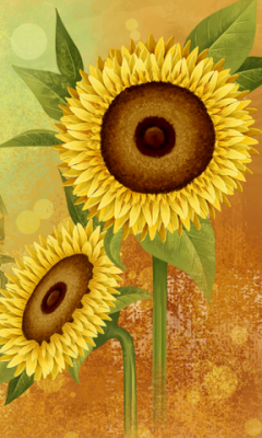 Sunflower at rain Live WP