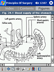 Schwartz Prinicples of Surgery Companion Handbook