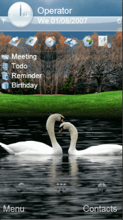 swan love