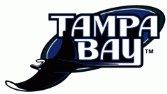 Tampa Bay Rays Fan