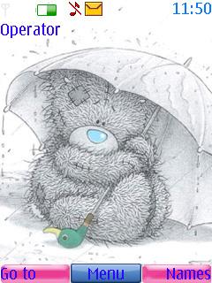 Teddy-in-rain