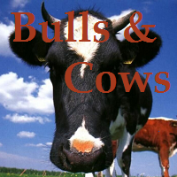 The bulls and cows 91
