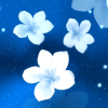 3D Animated Flowers
