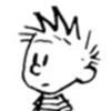 Calvin and Hobbes Cartoons
