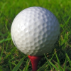 Themes in Motion: Golf