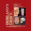 Dorland's/ Gray's Pocket Atlas of Anatomy