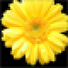 Yellow Daisy Theme for BlackBerry v6.0