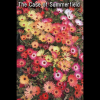 The Case of Summerfield (ebook)