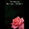 The Amazing Marriage Volume 4 (ebook)