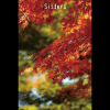 Sisters (ebook)