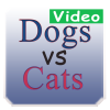 Video Dogs vs Cats