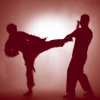 Mixed Martial Arts (for os5)