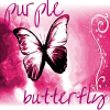 purple butterfly