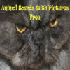 Animal Sounds With Pics Free